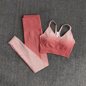 2pc. PINK Ombre Set (S-L)