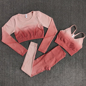 3pc. MAGENTA Ombre Set (S-L)