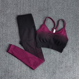 3pc. MAGENTA Ombre Set (S-L)