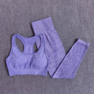 2pc. PURPLE- Pants/SportsBra (S-L)