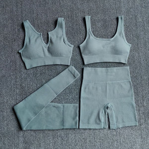 4pc. BLUE Ribbed Set (S-L)